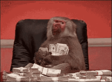 Monkey 3